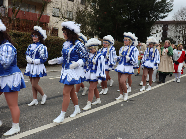 Umzug Neckargemuend 2026